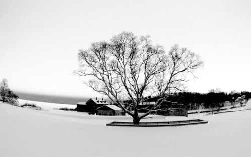 Wide Eyed and Alone at fayette