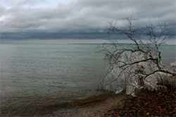 Whitefish Point