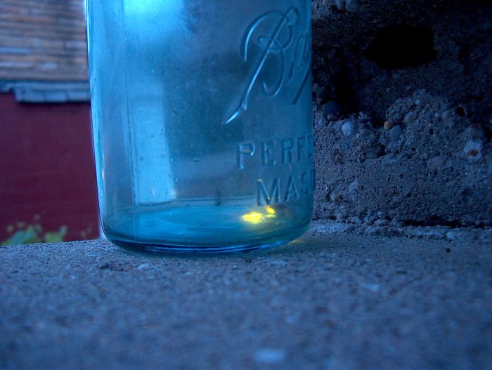 Fireflies in a Jar by jamelah e