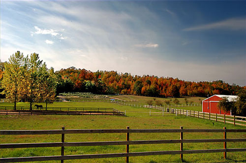 Herman Road Ranch by Keith Burnham