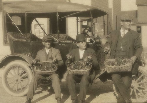 Boyne City Mushroom Festival