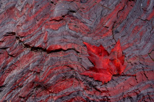 Banded Iron Formation