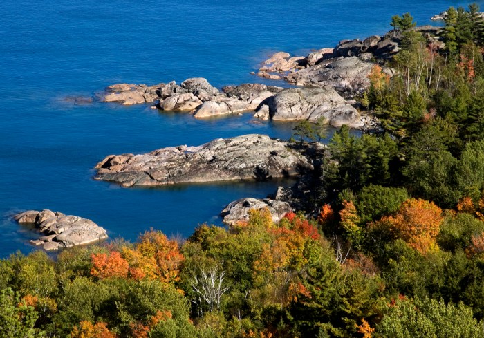 The Start of Autumn by Marjorie Obrien