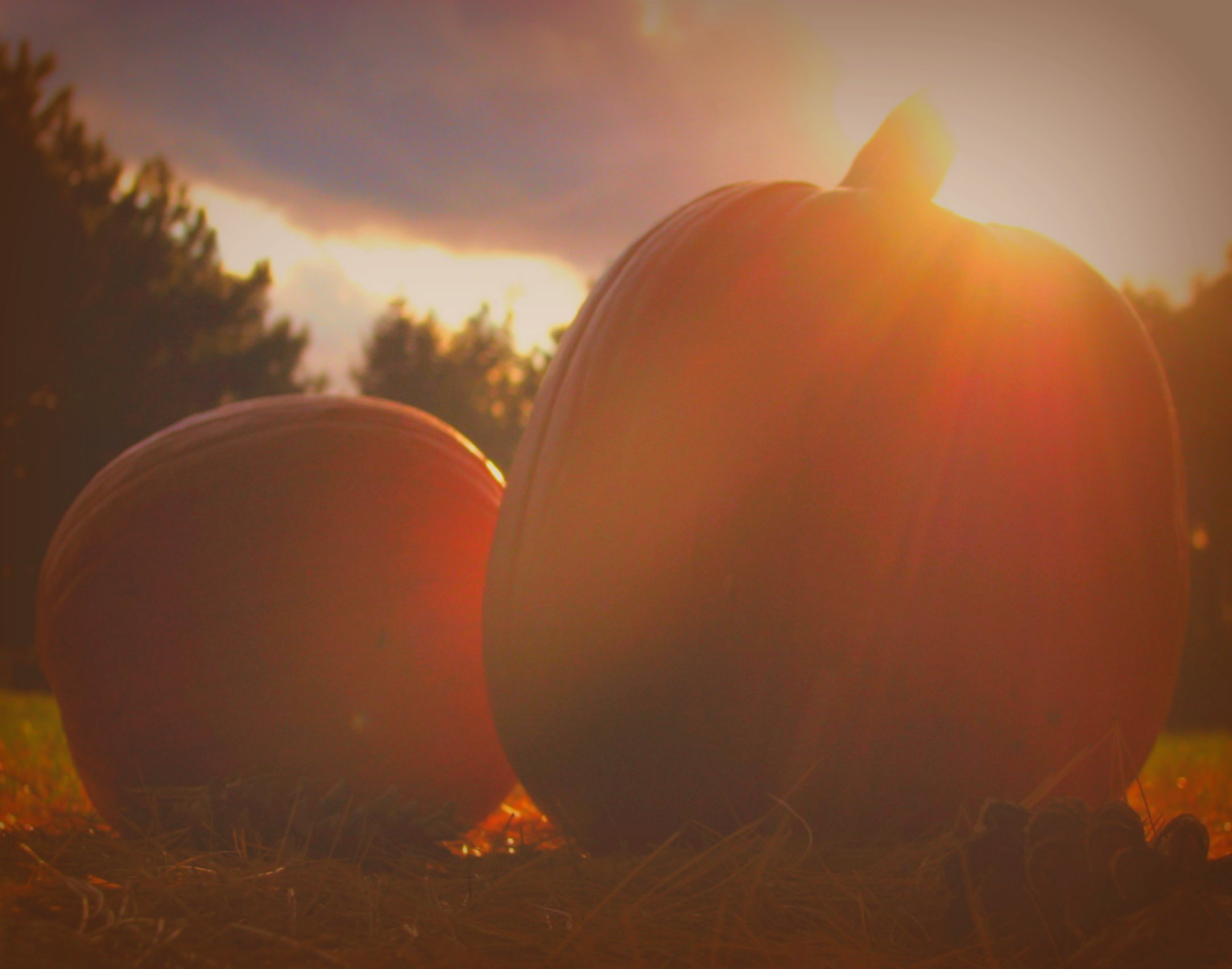 Jock o Lantern Sunset