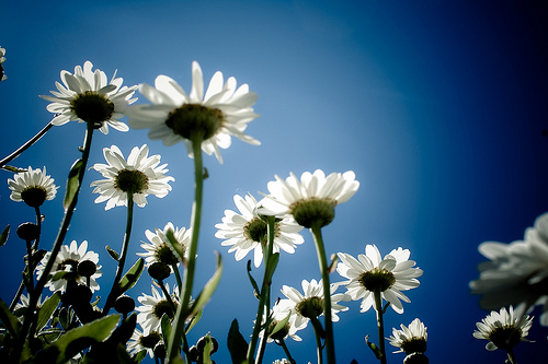 Hang On To Your Passport | I'm Not Leaving Summer