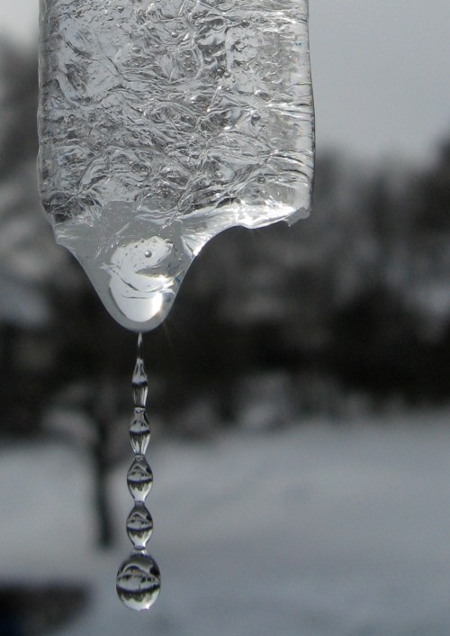 Trail by Andrea Koch