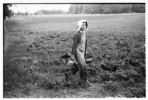 Migrant girl, strawberry picker, Berrien County, Mich.