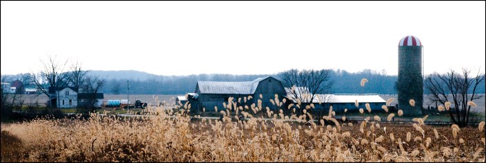 Shaytown by Joel Dinda