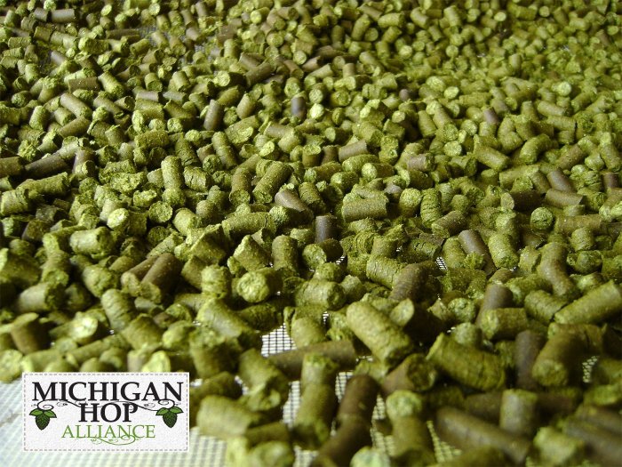 Michigan Hops Michigan Hop Alliance