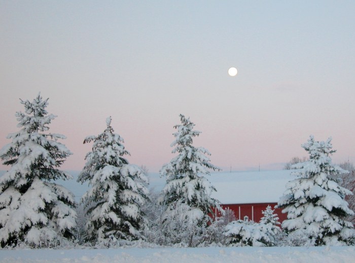 Crisp Morning in December