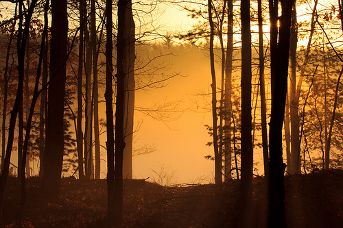 Dollar Lake Foggy Sunrise