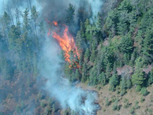 Duck Lake Fire, photo courtesy Michigan Department of Natural Resources