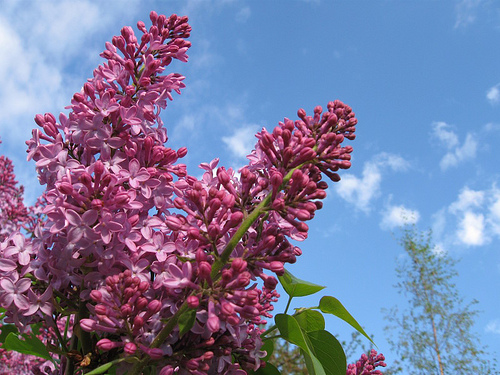 128::365 Happy Mother's Day