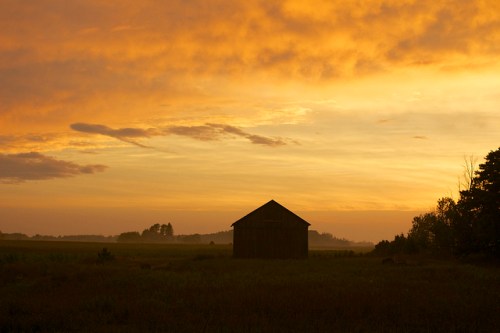Farmland Sundown