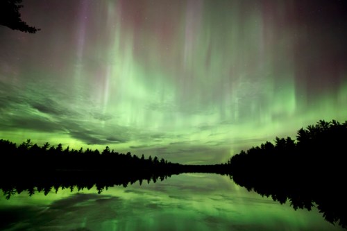 Emerald Radiance by Shawn Malone