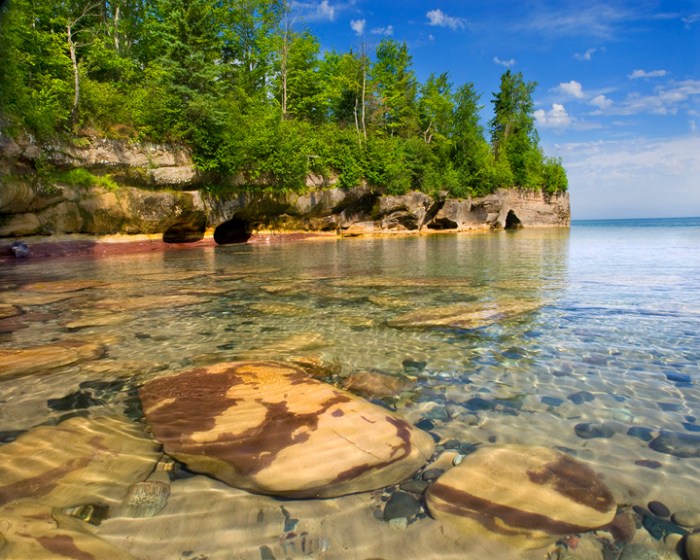 Sea Cow photo by Tim Trombley