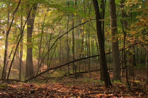 A little color and a little light