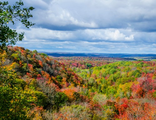 Landslide Overlook 2
