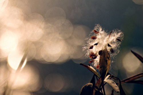 There's always next year....