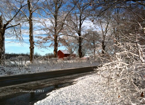 Snowfall: Scenic Drive