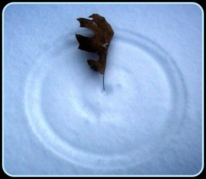 Vostok Snow Circle