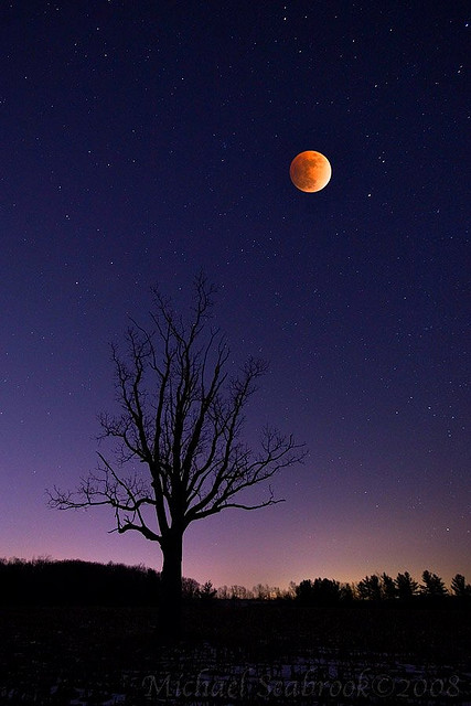 Shadow Moon by Michael Seabrook