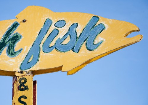 Thill's-Fish-Market-by-Jorie-Obrien
