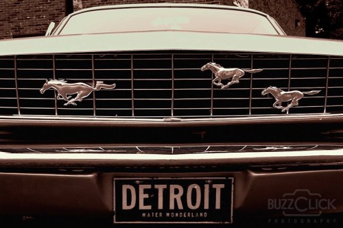 Detroit Mustangs