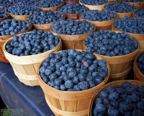 Michigan Capitol Farmers' Market - July 31, 2014