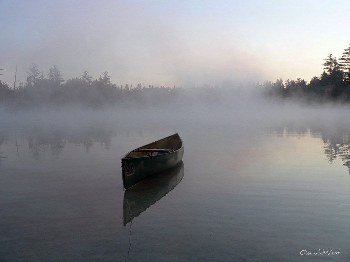 Canoe in the Fog by Brent West
