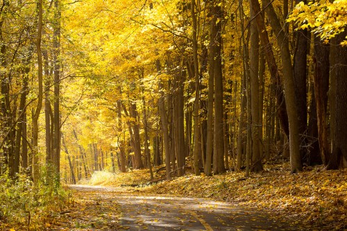 Kalamazoo River Valley Trail
