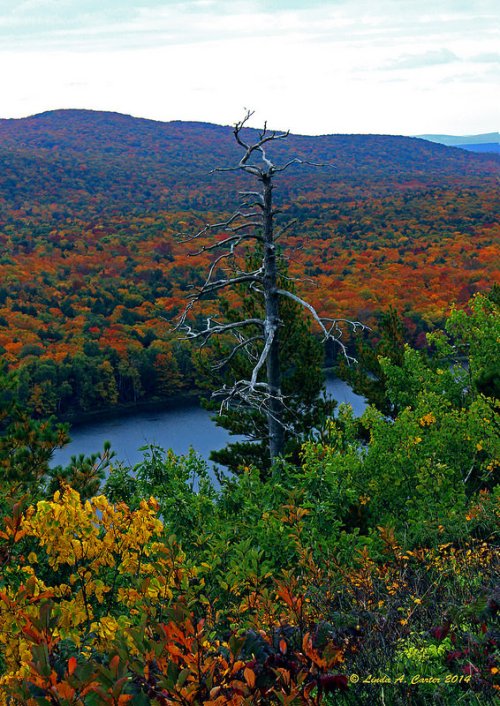Lake of the Clouds from the Escarpment Trail, Porcupine Mountains