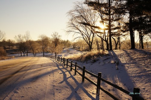 A Late November Morning
