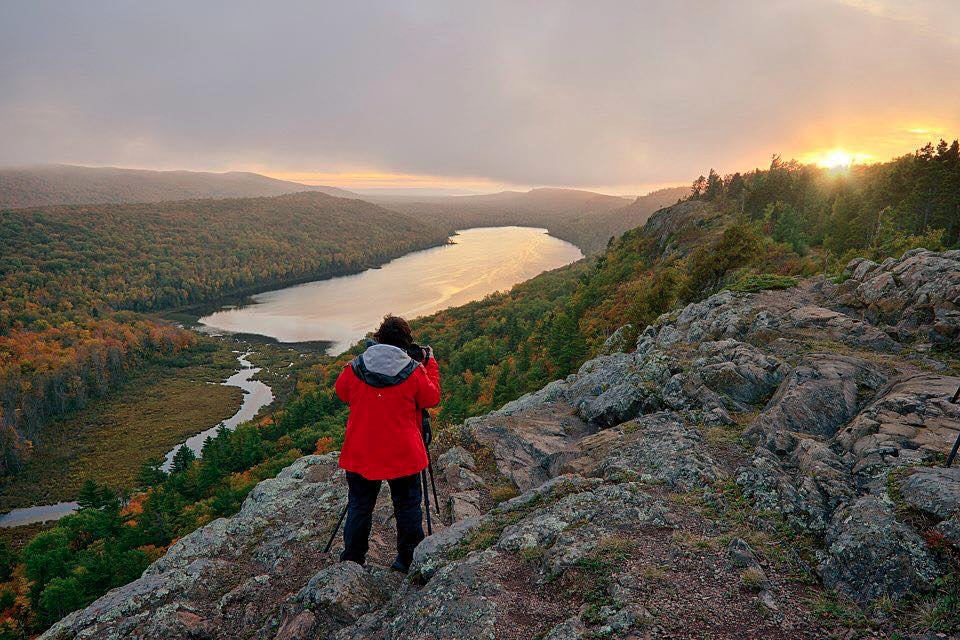 Aubrieta at Cloud Peak