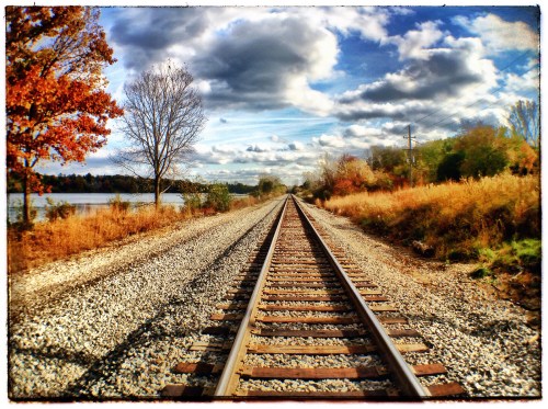 Eastbound Tracks along Huron River Drive by Lawrence Lazare