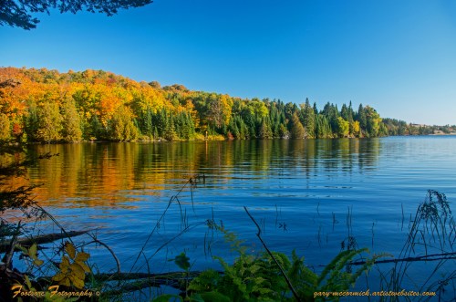 Fall Colors On Grand Sable Lake
