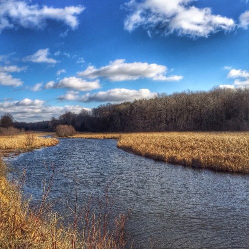 Pine Bend Natural Area