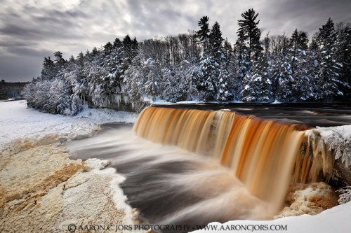 Winter Tannins - Tahquamenon Falls (Tahquamenon Falls State Park - Upper Michigan)