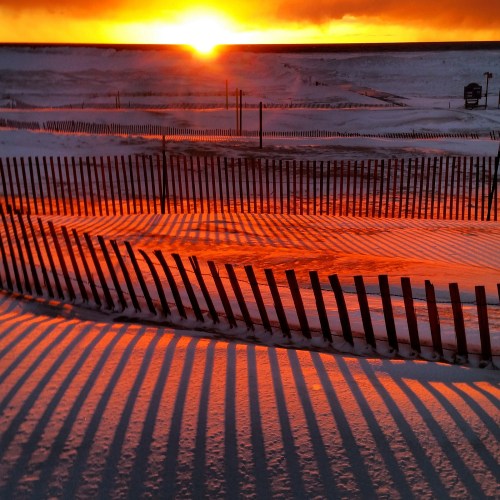 Fence in the sunset