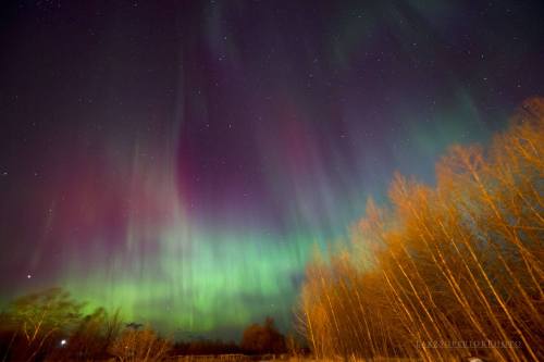 Wearing o the Green Aurora