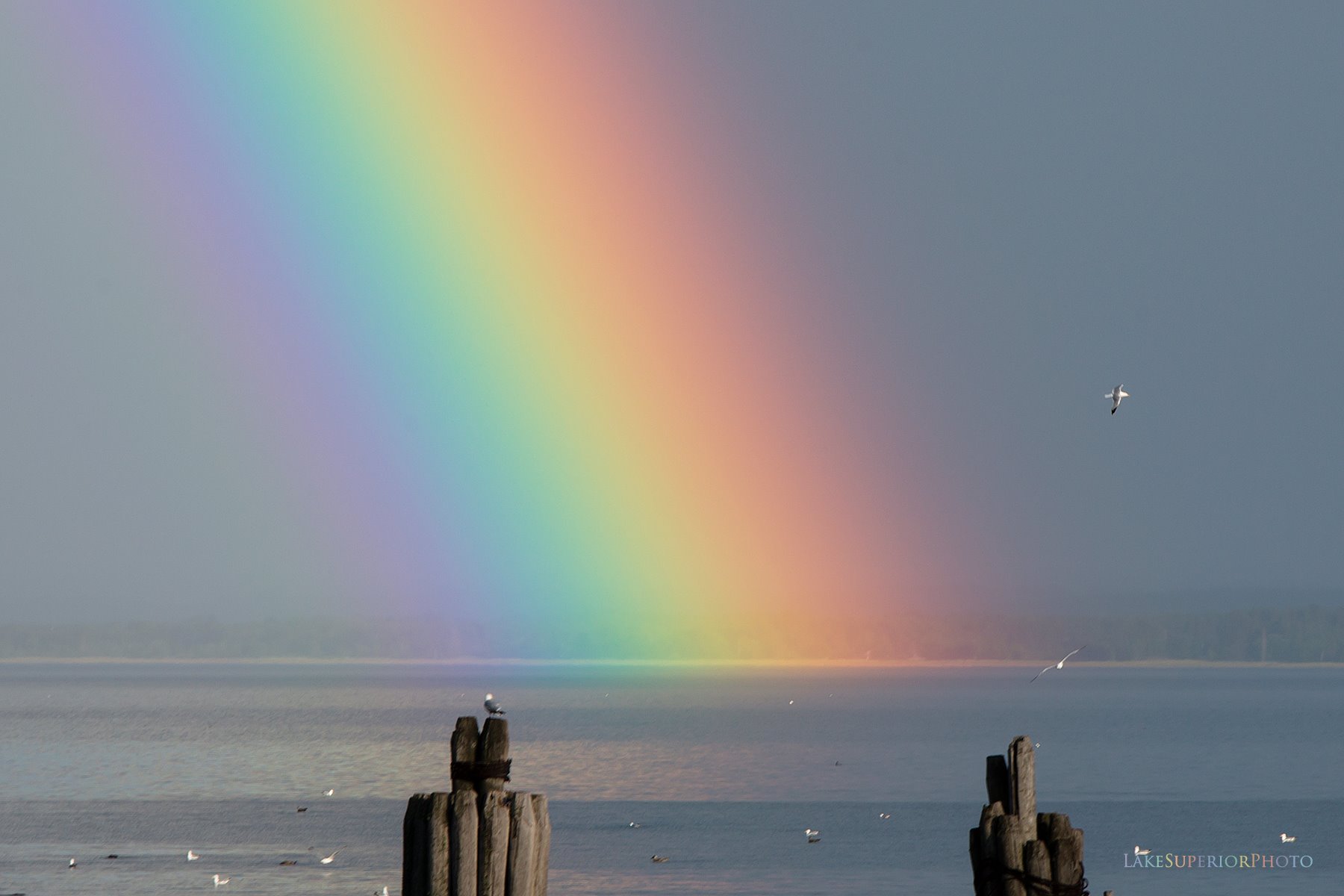 Lower Harbor Massive Rainbow