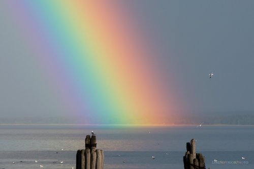 Lower Harbor Massive Rainbow