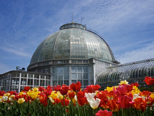 Belle Isle Conservatory - Detroit, Michigan