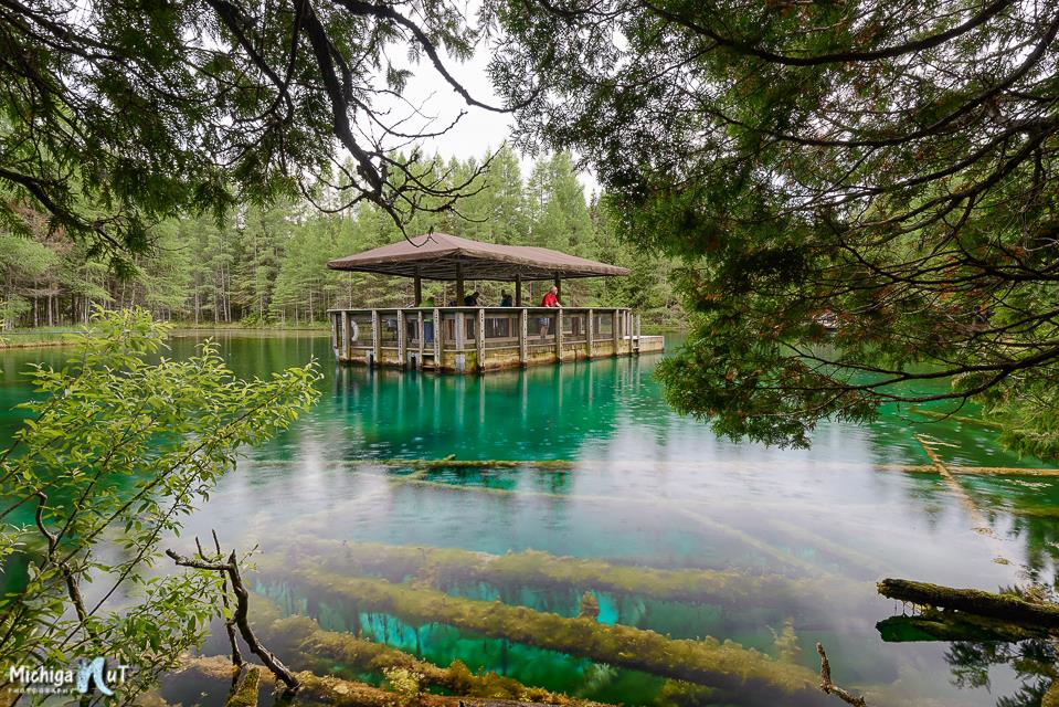 Big Spring (Kitch-iti-Kipi) Palms Book State Park