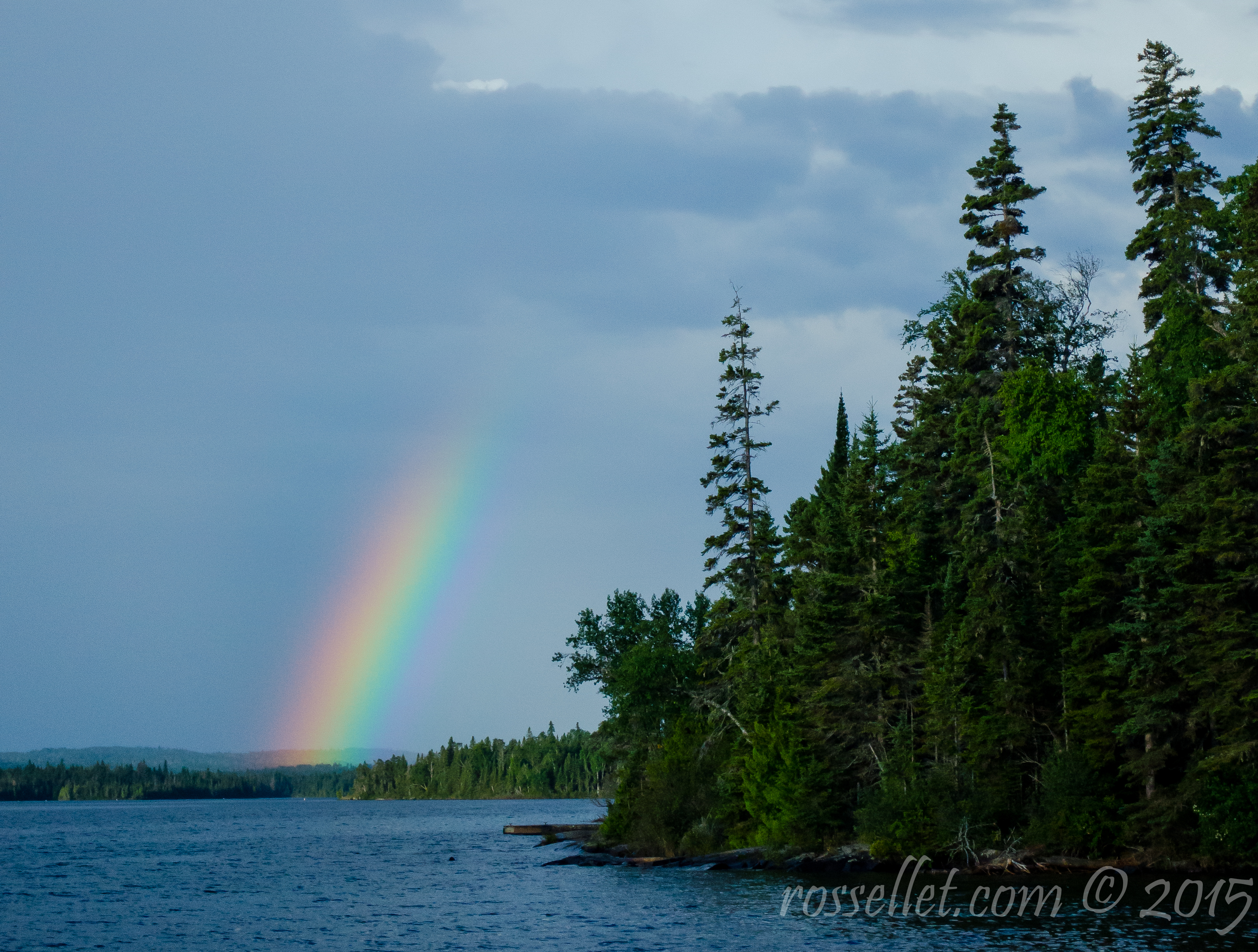 This was an awesome surprise one morning as we were filitering water from the lake.
