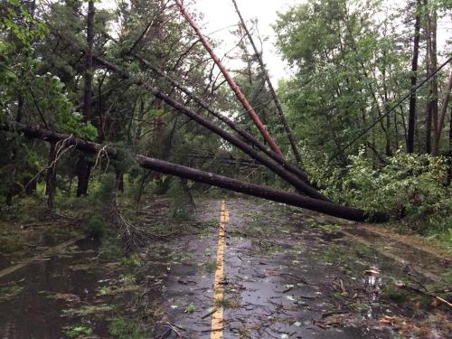 Road Closed in Glen Arbor