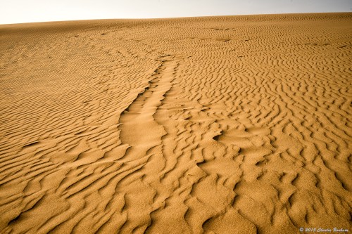 Sand Waves