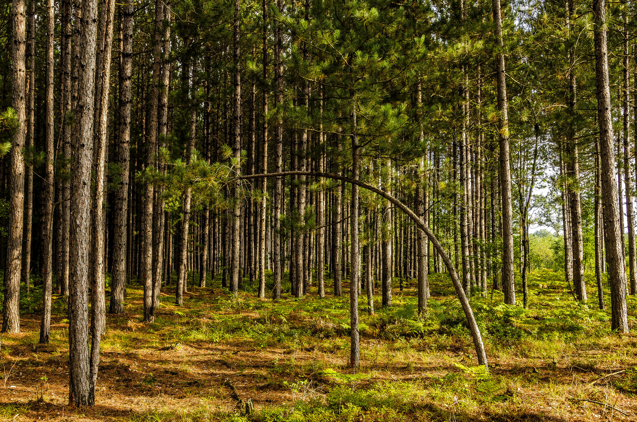 Theres One in Every Crowd