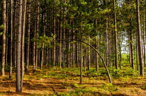 Theres One in Every Crowd