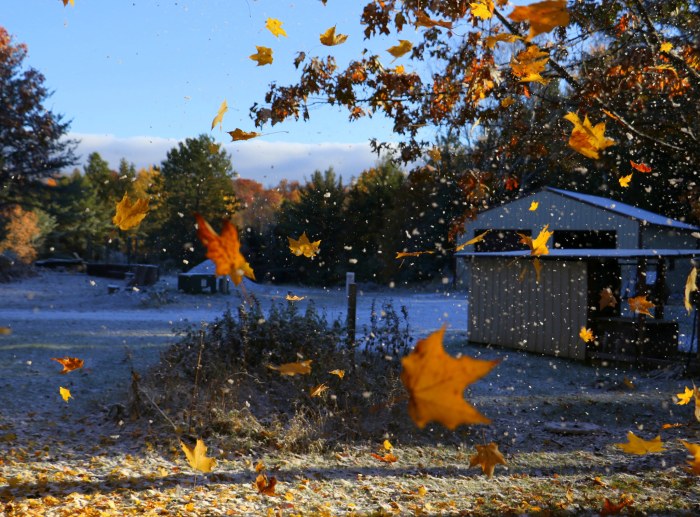 Fall-ing Northern Marquette County